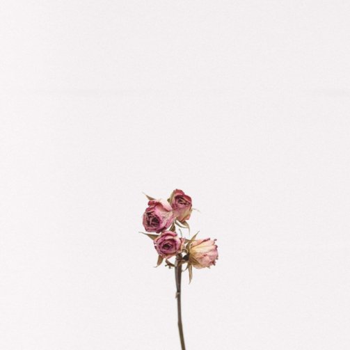 demo-attachment-1111-tanalee-youngblood-fsdWYNTymjI-unsplash-1024x1024